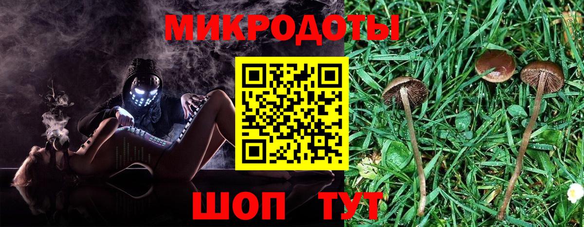 где можно купить наркотик  Вход с VPN  Пенза  Галлюциногенные грибы прущие грибы 